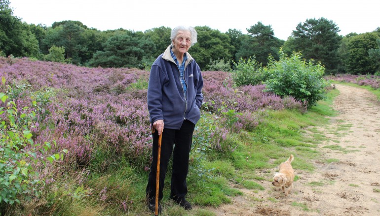Schaapherder door liefde voor de heide