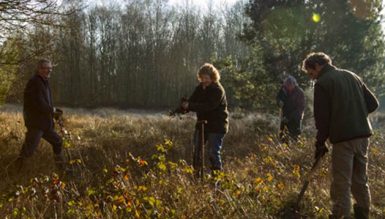 Vrijwilligers gezocht voor natuurgebied De Wilde Kamp