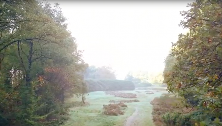 Garderen in beeld: ’t Sol
