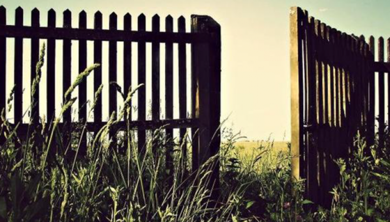 Ontdek The Gate!